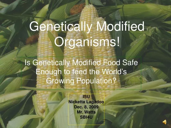 genetically modified organisms
