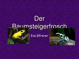 der baumsteigerfrosch
