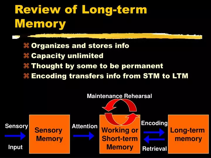 review of long term memory