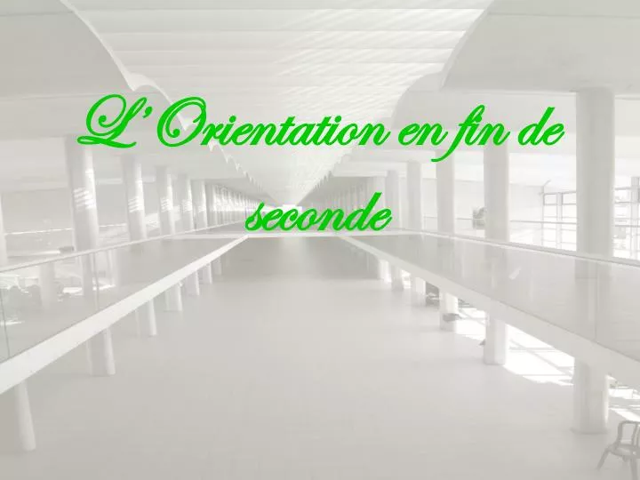 l orientation en fin de seconde