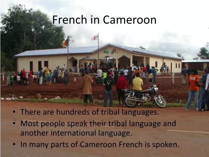 french in cameroon
