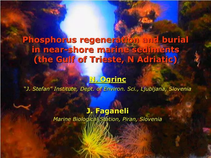 phosphorus regeneration and burial in near shore marine sediments the gulf of trieste n adriatic