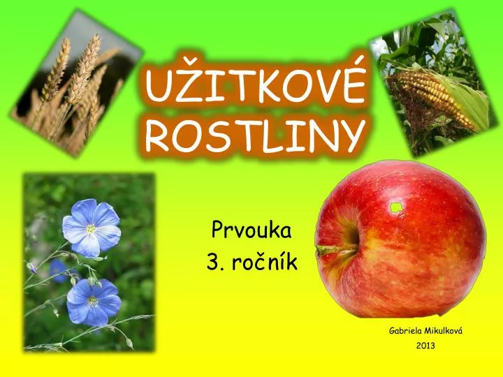 u itkov rostliny