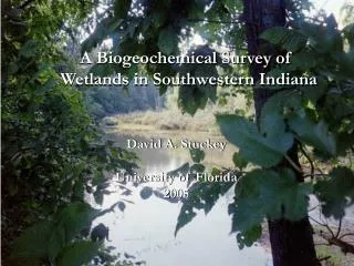 A Biogeochemical Survey of Wetlands in Southwestern Indiana