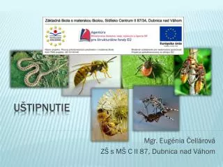 mgr eug nia ell rov z s m c ii 87 dubnica nad v hom
