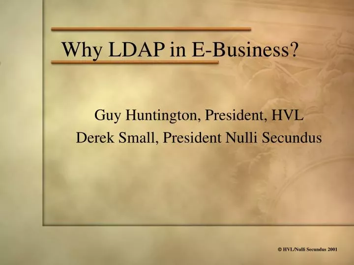 why ldap in e business