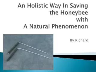 An Holistic Way In Saving the Honeybee with A Natural Phenomenon
