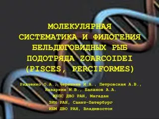 zoarcoidei pisces perciformes