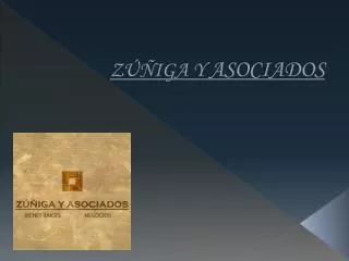 z iga y asociados