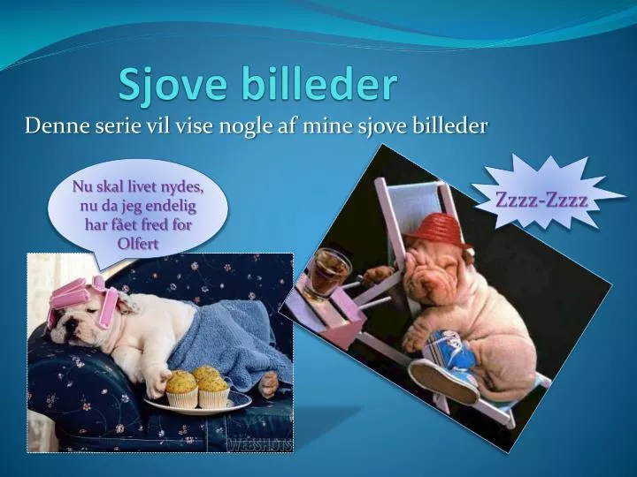 sjove billeder