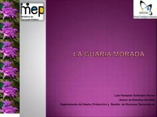 la guaria morada