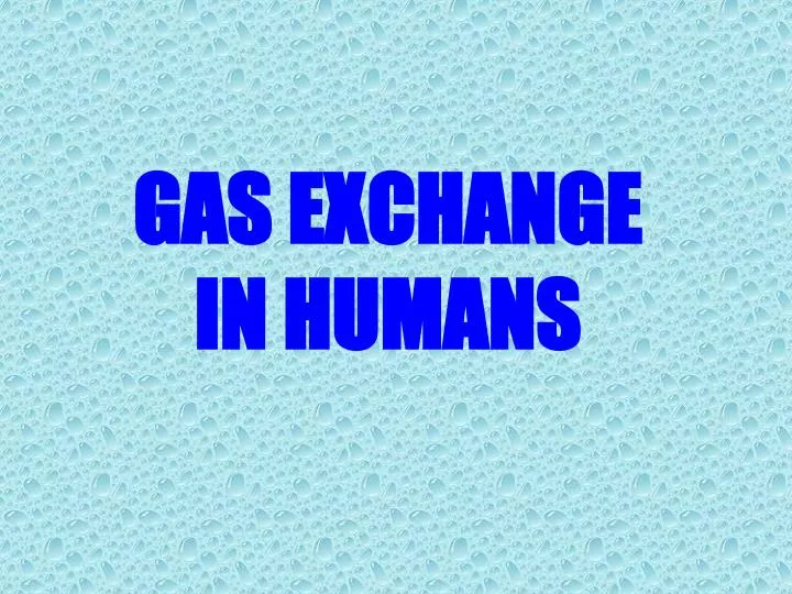 gas exchange in humans