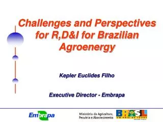 Challenges and Perspectives for R,D&amp;I for Brazilian Agroenergy Kepler Euclides Filho