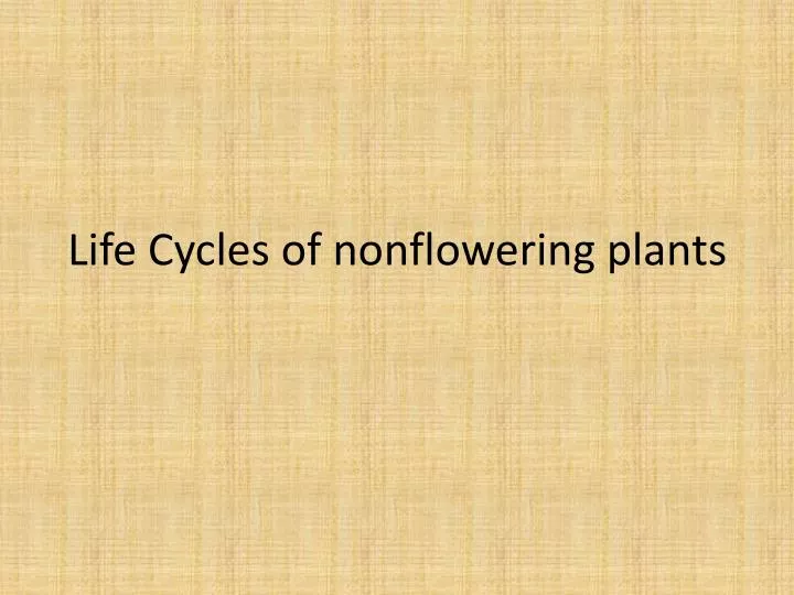 life cycles of nonflowering plants