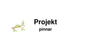 projekt