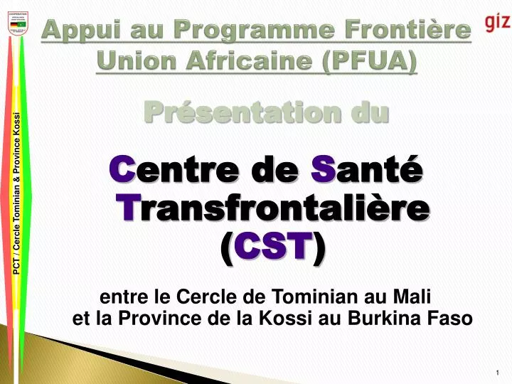 appui au programme fronti re union africaine pfua