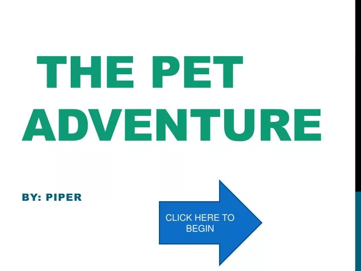 the pet adventure