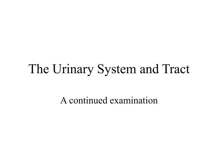 the urinary system and tract