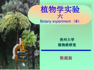 botany expertment 6