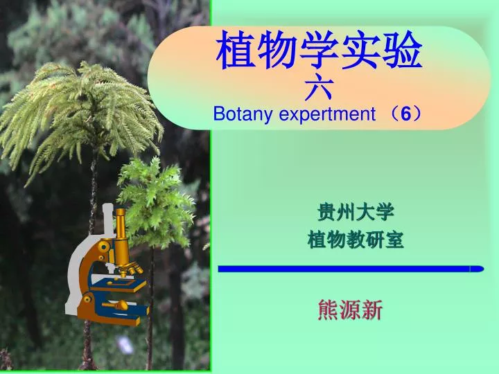 botany expertment 6