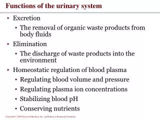 Functions of the urinary system