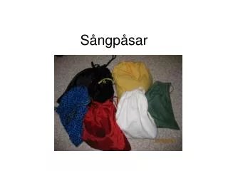 s ngp sar