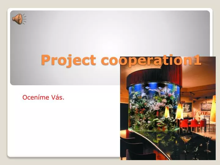 project cooperation1