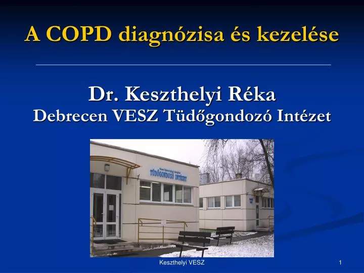 dr keszthelyi r ka debrecen vesz t d gondoz int zet