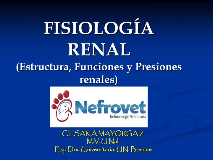 fisiolog a renal estructura funciones y presiones renales