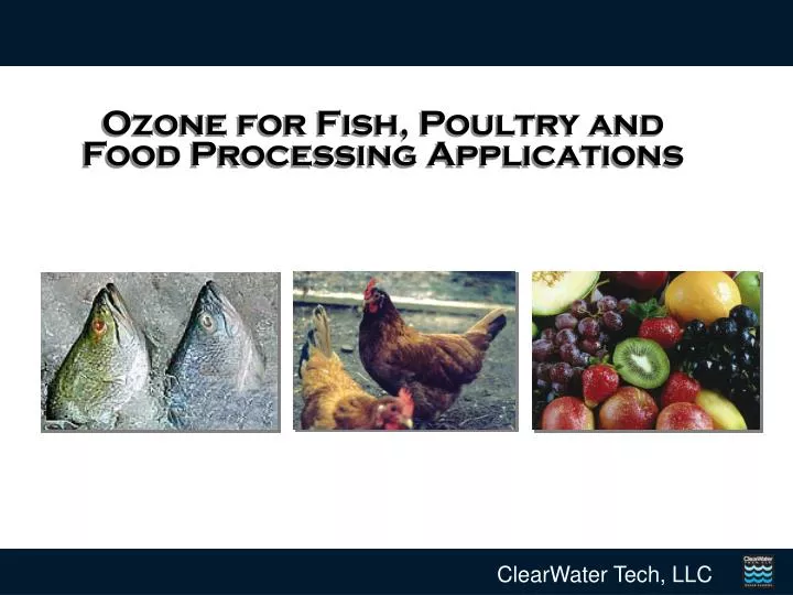 ozone for fish poultry and food processing applications