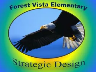 Forest Vista Elementary