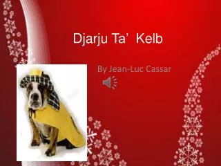 djarju ta kelb