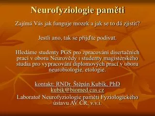 neurofyziologie pam ti