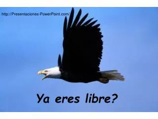 ya eres libre