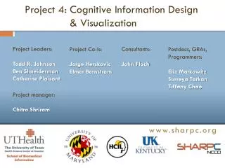 Project 4: Cognitive Information Design &amp; Visualization