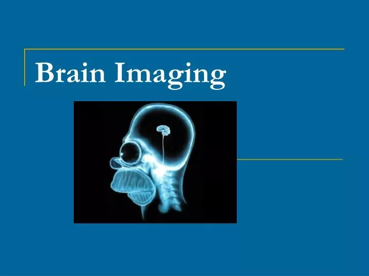 brain imaging