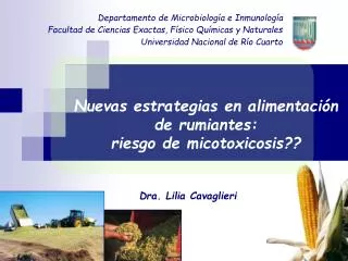dra lilia cavaglieri