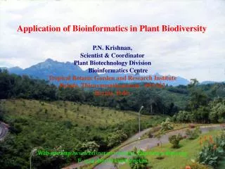 Application of Bioinformatics in Plant Biodiversity P.N. Krishnan, Scientist &amp; Coordinator