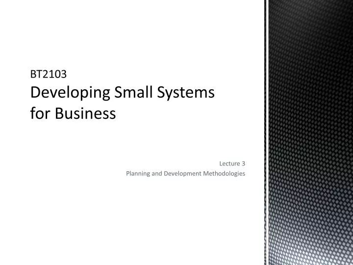 bt2103 developing small systems for business