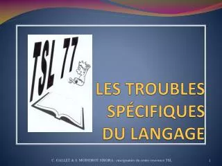 les troubles sp cifiques du langage