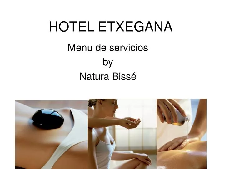 hotel etxegana