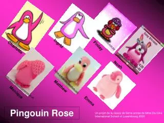 pingouin rose
