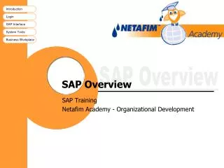 SAP Overview