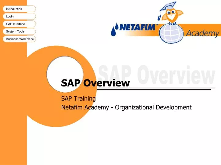 sap overview
