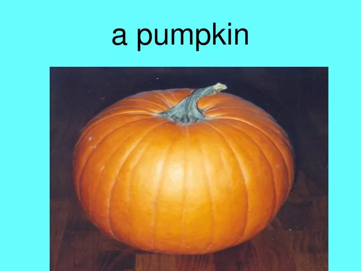 a pumpkin