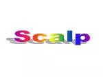 Scalp - slide 1