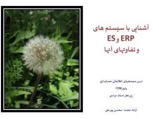 erp es