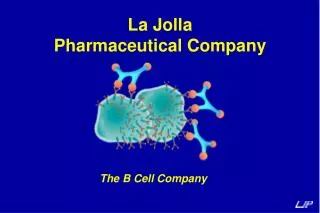The B Cell Company
