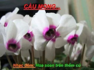 c u mong