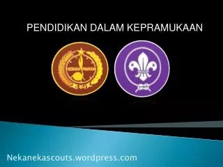 nekanekascouts wordpress com
